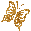 Butterfly - A brown butterfly