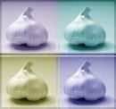 mulitu color garlic - I thought interesting picture of garlic. what ya think?