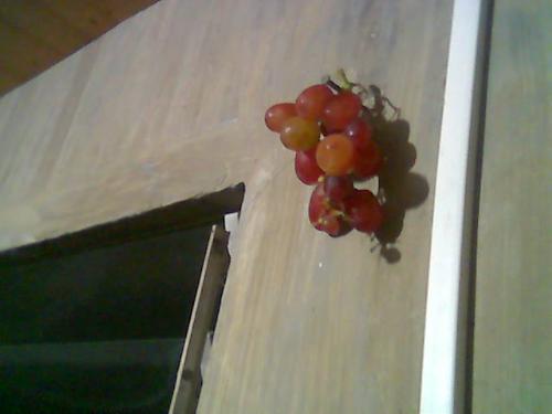 grapes - grapes by the window