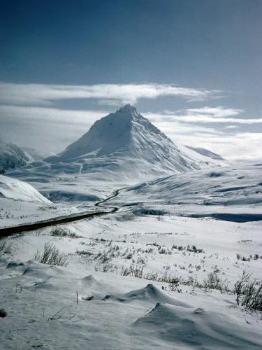 Alaska has a lot of snow in the winter time - Alaska's mountains and trees and everything is covered in snow right now. though here in southeast we got some snow but a lot of ice and some warm weather.