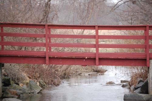 foot bridge - Bridge at the park