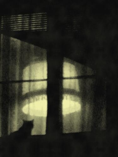cat sitting in the window - I'M so happy I could capture this photo.It's window of a house which is very high so it's hard to see for the pedestrians.But I'm often lookingup while walking so my eyes stopped on this cat.Of course I had ot zoom so the quality is not the best but I retouched it anyway :) I hope you like it too. Misteriousss :)