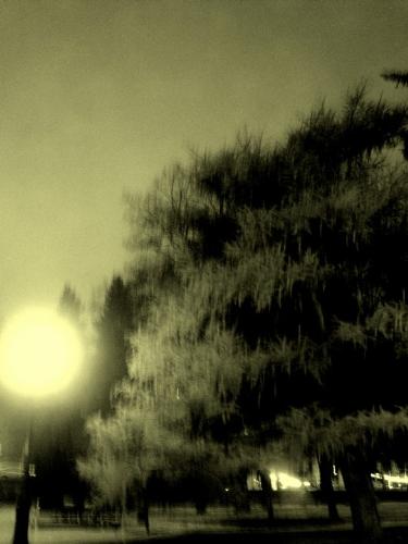 instead of Sun - I can't really discribe tihs pic.It's a moment I captured maybe means nothing but in that moment I've seen some kind of peace there so thats why I ve taken photo :)