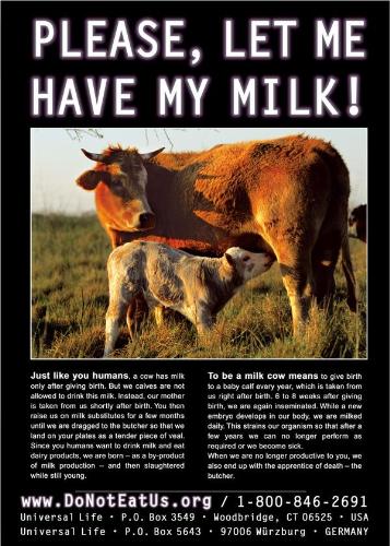 animals - please let her have her milk...you can't love animals AND eat them, too.