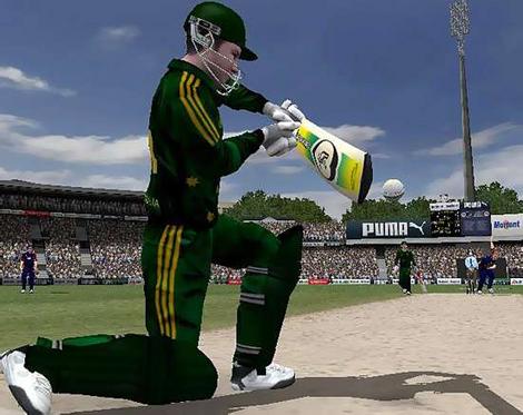 Cricket - It&#039;s cricket life