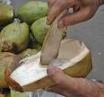 Tender coconut - We eat the flesh