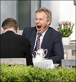 me having tea with the former prime minister. - Tony is a very boring man but he constantly made arrangements for lunch so i could advise him on running the country.  here you can see him laughing as i wittily tell him the wide mouth frog joke.  Cherie wants me real bad. who can blame her.  i am super fit and sex on legs. if i was chocolate i would eat myself.
