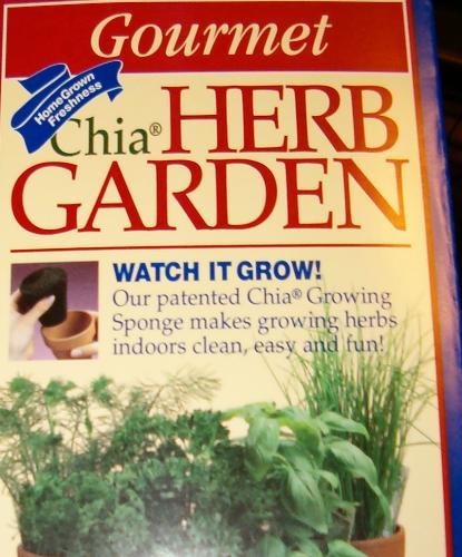 My Chia Herb Garden - My Chia Herb Garden will add fresh veggies to my soups & stuff.