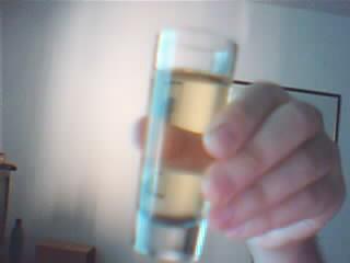 Rakija - 'macedonian whiskey'  - Cheers!