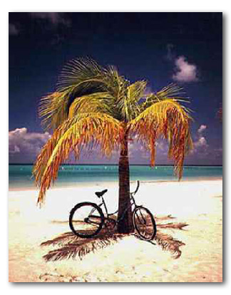 Travel - A World of Service.   Whether you are traveling for business or pleasure, the Cutter Aviation Travel Agency can help make the entire experience pleasurable and hassle-free. Our full-service, customer- friendly approach is designed specifically for seasoned travelers.   As a Vacation.com member travel agency, our knowledgeable and helpful staff will help you plan your trip from start to finish. For your convenience, we offer a complete range of services, including:   Researching and booking domestic and international airline tickets   Researching and booking cruises   Researching and booking domestic and international rail travel  Options for package, escorted and personalized tours  Hotel reservations  Limousine service   Convention and meeting planning