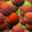 cooking - Cooking increases nutritious value in vegetables.