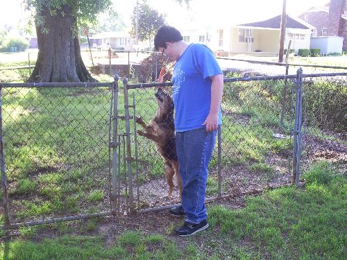 My son Stuart with Jake - This is a picture of my son Stuart with Jake. Jake loved for us to come to the fence and give him a pet. He would always stand up and look at us with his beautiful brown eyes while we petted him and rubbed his ears. He was a precious dog. My son Stuart with Jake - This is a picture of my son Stuart with Jake. Jake loved for us to come to the fence and give him a pet. He would always stand up and look at us with his beautiful brown eyes while we petted him and rubbed his ears. He was a precious dog.