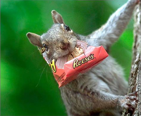 delivery - my sweet delivery