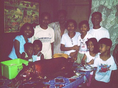 Party - Party at home with my family friends and my gf.