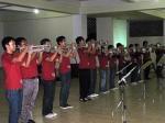 musician - brass musician