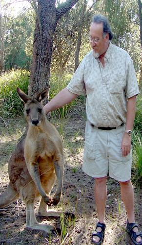 Me & Kanga - Meeting a red kangaroo near Bicheno Tasmania.