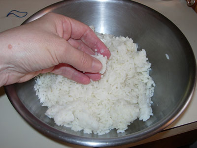 Is This REALLY Rice~~LOL - image of rice Is This REALLY Rice~~LOL - image of rice