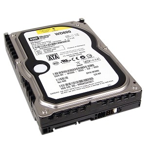 Mass Storage Devices - This is an image of a SATA Western Digital Hard Drive