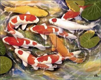 Carps.. - Lovely Carps