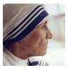 social activist - mother theresa is world's one of the well known voluntary social activist.