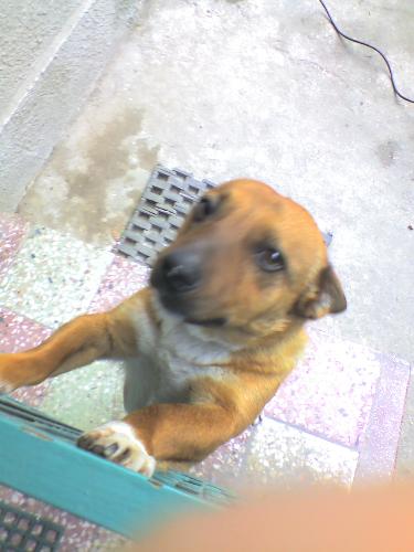 My pet...again - Please give me a hug!!