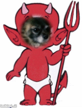 Me the Devil hehehe - Ok Mum done this today because she says I am a little Devil 