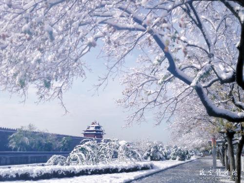 the photo of the Forbidden City~ - the photo of the Forbidden City~ So beatifull~ the snow...wow...
