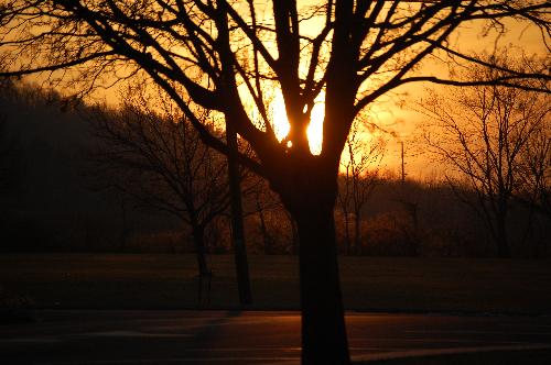 sunset at the park - This was taken with a DSLR, with a 55-200mm Nikon DX lens