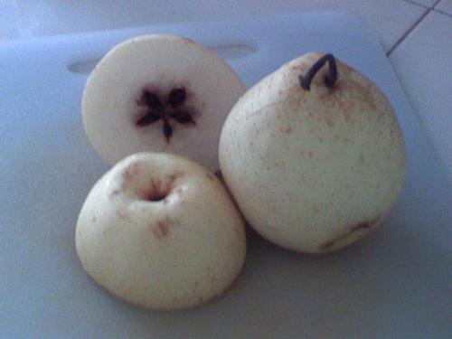 pears - photo study of pears