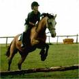 Horse Riding - Photos Of Horse Riding