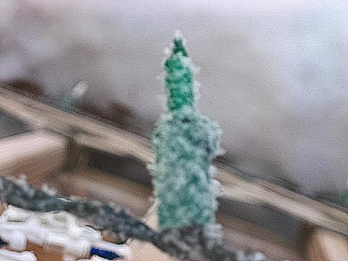 Ice Crystals - A tad fuzzy but cool I think