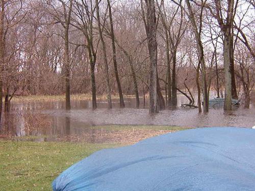 Floodwaters backing up into my back yard.  - After all the melting snow and rain, we woke up to being on our own lil island, surrounded by water. This is the back yard where the creek is.