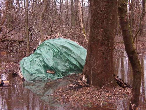 Water surrounding firewood pile. - I split this whole pile of cottonwood myself just over a year ago and been using it to heat my house this winter. Been so busy over the summer that I failed to get it stacked up out of the woods for this very reason.