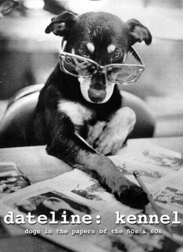 Dog with glasses reading the newspaper  - dog with glasses reading the newspaper