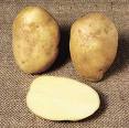 Potatoes - Everyone's favourite dish