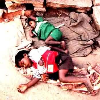 poor children sleeping under the sky. - 348 x 348 - 19k

www.bruceperu.com