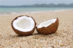 Coconut-A very useful ingredient for making Virgin - The best anti-oxidant for us. What can you tell about this virgin coconut oil?