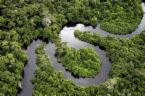 Plant Kingdom - Interdependence of the ecosystem Plant Kingdom - Interdependence of the ecosystem