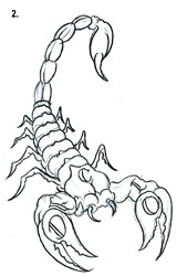 my sign:) - scorpio is my sign:)