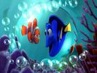 Finding NEMO - Photos Of Finding NEMO