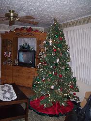 tree - Last years Christmas tree