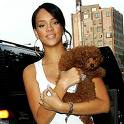 rihanna - rihanna is the best singer