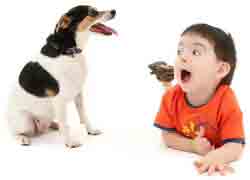 dog and child laughing - relaxing scene, 