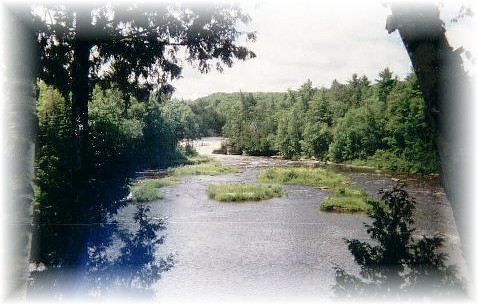 Tahquamenon Falls - This is a picture of the lower falls. The Tahquamenon River is also known as the Dark River or the Golden River. It plays an important part in Longfellow's poem, The Song of Hiawatha.