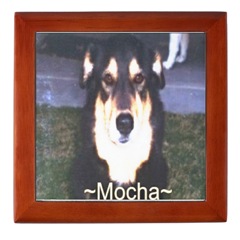 Mocha - Finished product