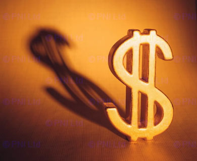 dollar sign - money