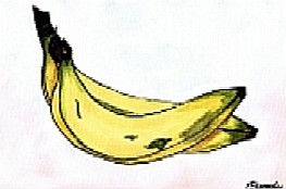 Bananas - Watercolour A4 size 190gms Paper