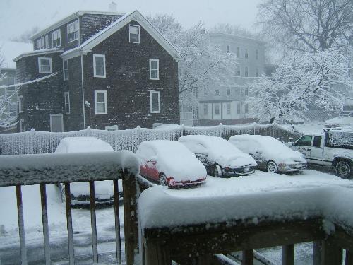 Scene from my back door! - back door scene Scene from my back door! - back door scene