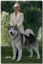Another cutie - Great dogs
