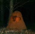 Ghosts and Spirits - Ghosts, Spirits and Paranormal Apparitions.
